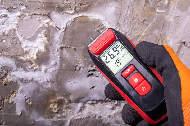 Best Residential Mold Remediation in Stuarts Draft, VA